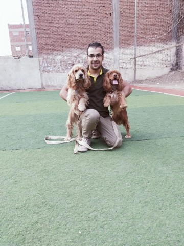 أحمد عفروتو أثناء تدريب أحد الكلاب