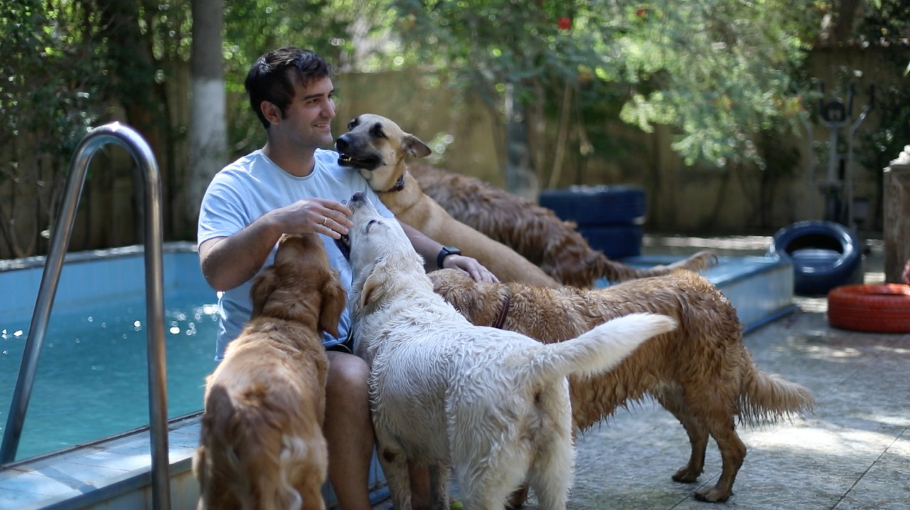 فندق للكلاب والقطط في قلب المعادي pets are people too 