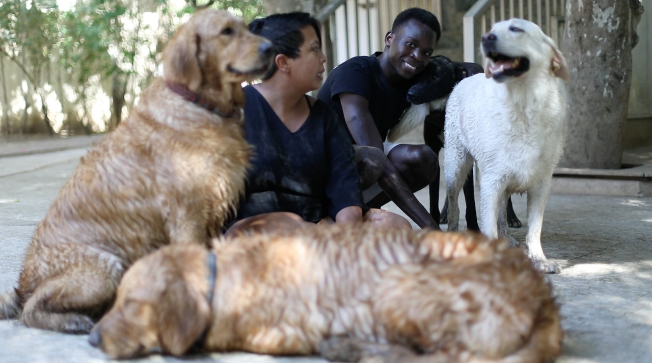 فندق للكلاب والقطط في قلب المعادي pets are people too 